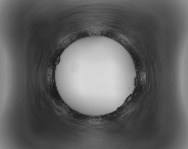 X0000086310964200704201959