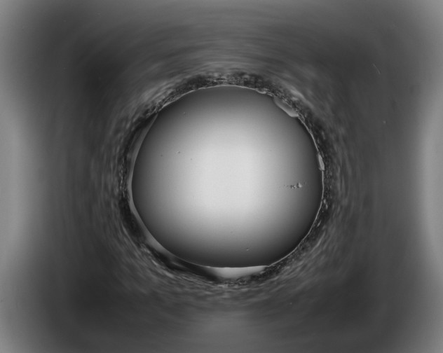 X0000086310965200704201959