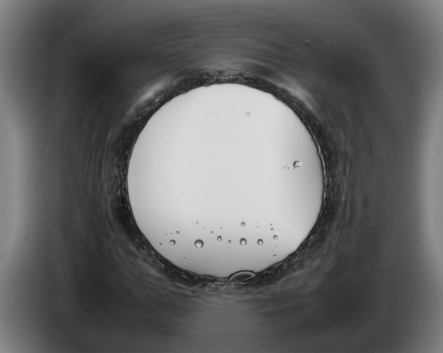 X0000086310967200704201959