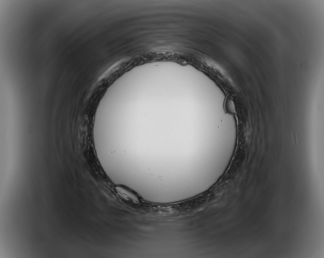 X0000086310968200704201959