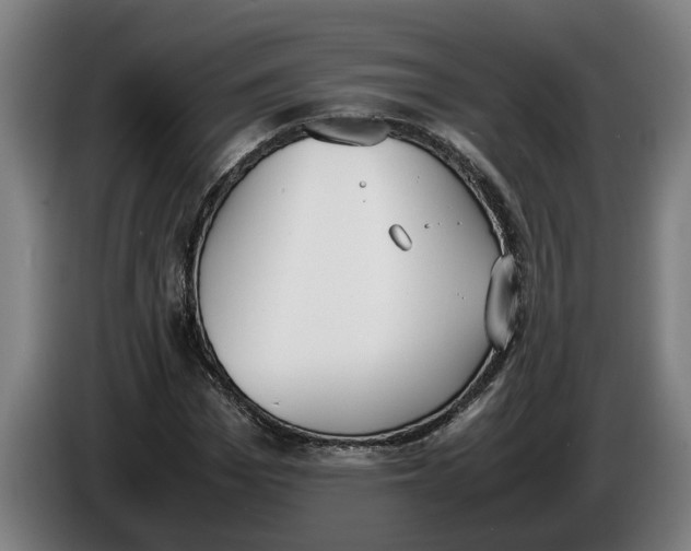 X0000086310969200704201959
