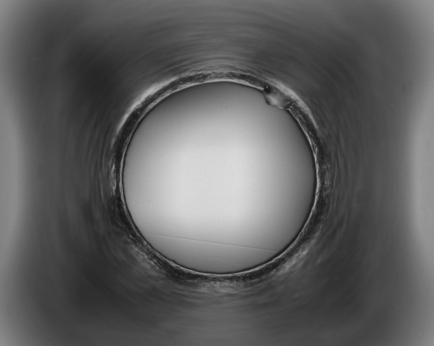 X0000086310973200704201959