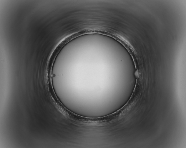 X0000086310976200704201959