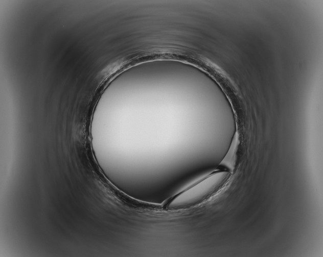 X0000086310977200704201959