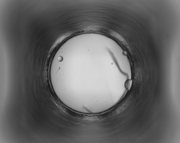 X0000086310978200704201959