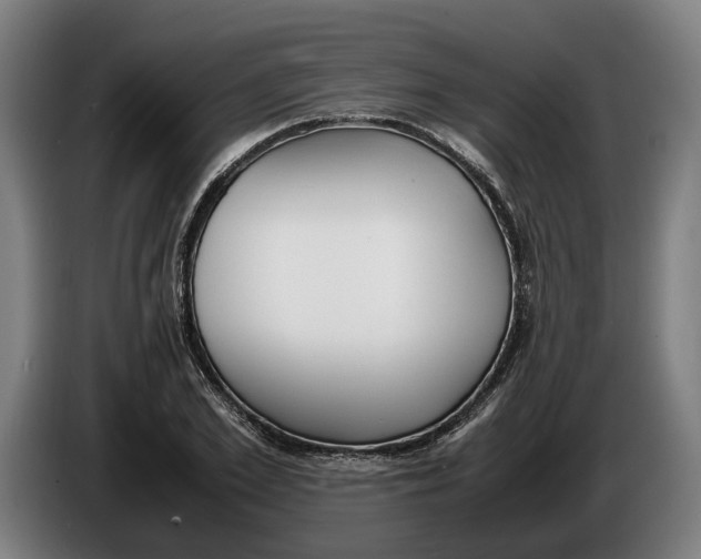 X0000086310981200704201959