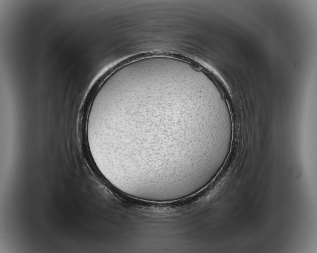 X0000086310983200704201959