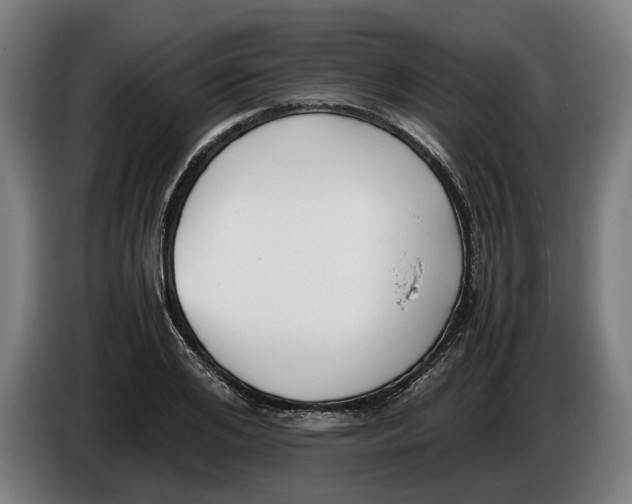 X0000086310984200704201959