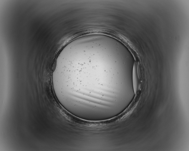 X0000086310985200704201959