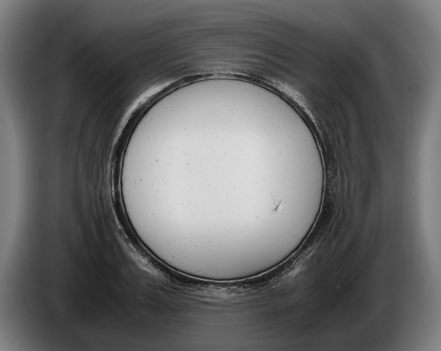 X0000086310987200704201959