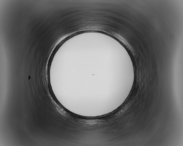 X0000086310988200704201959