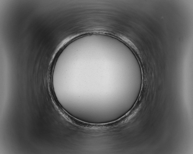 X0000086310989200704201959