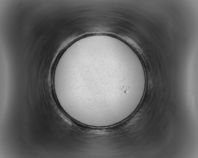 X0000086310990200704201959