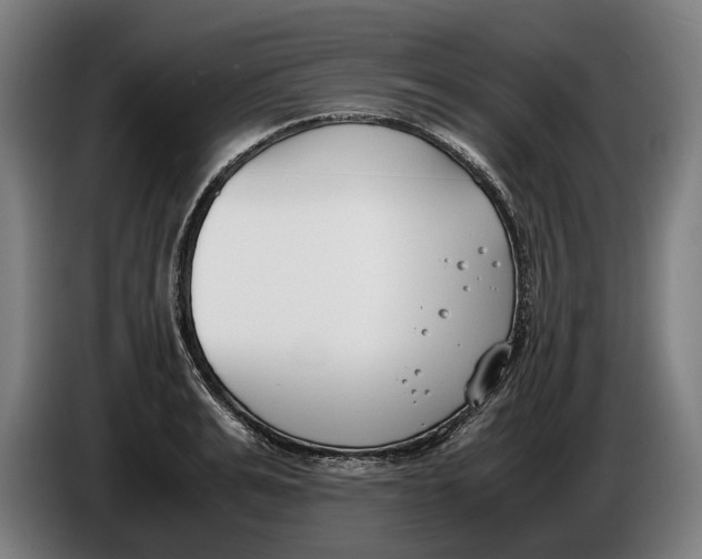 X0000086310991200704201959