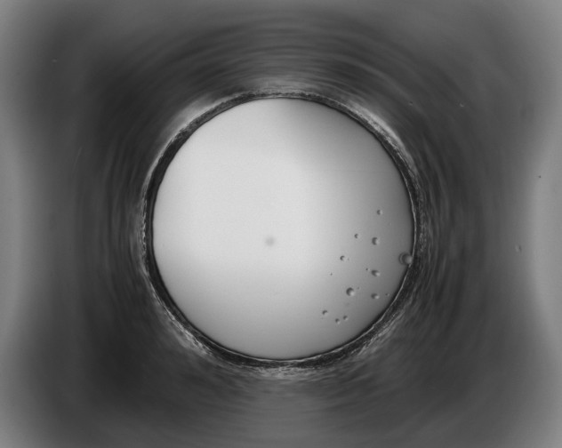 X0000086310992200704201959