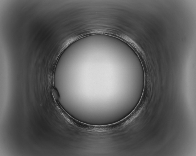 X0000086310993200704201959