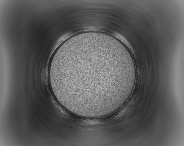 X0000086310994200704201959