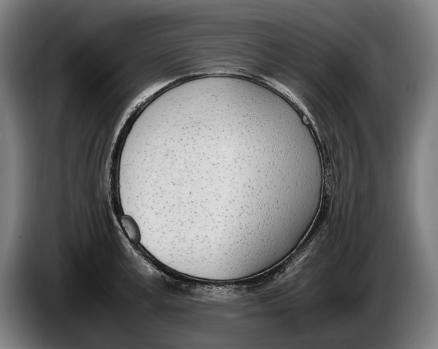 X0000086310995200704201959