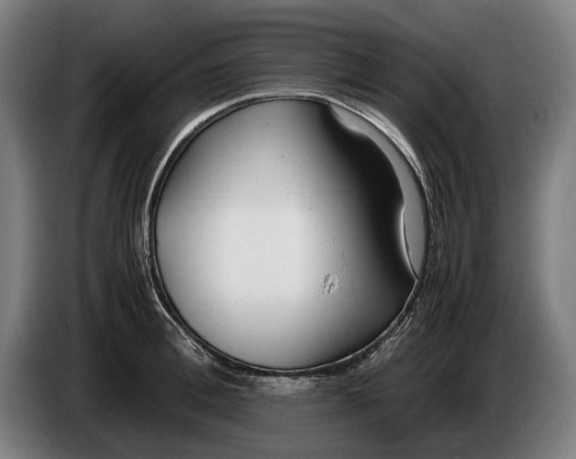 X0000086310996200704201959