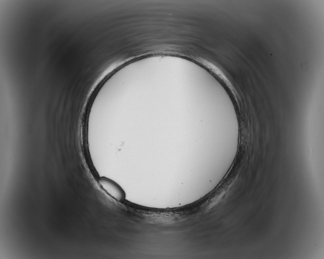 X0000086310999200704201959