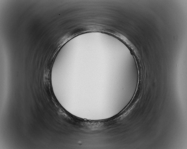 X0000086311001200704201959