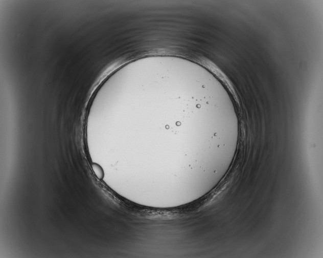 X0000086311002200704201959