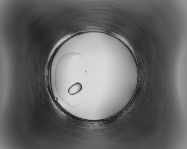 X0000086311003200704201959