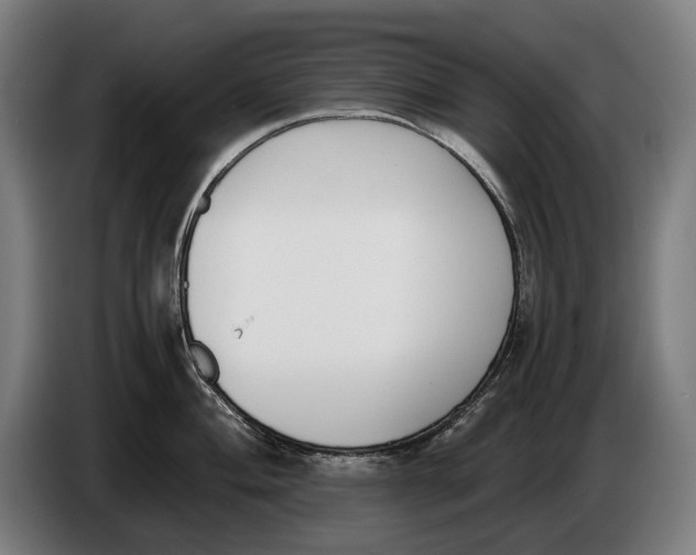 X0000086311004200704201959