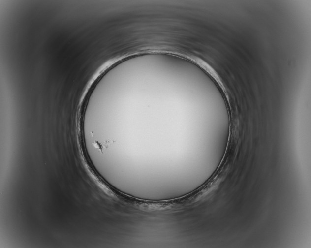 X0000086311005200704201959