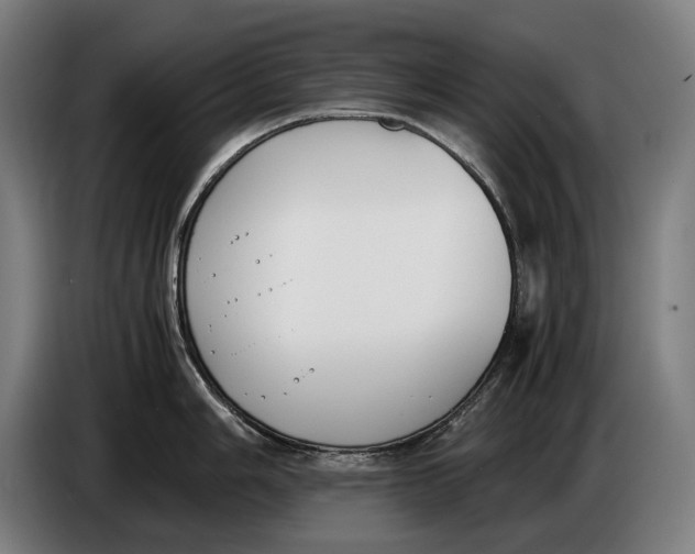 X0000086311006200704201959