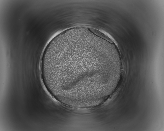 X0000086311007200704201958
