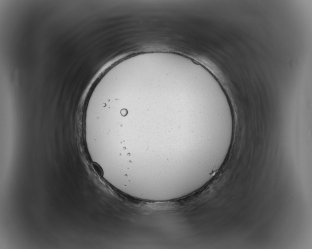 X0000086311008200704201958