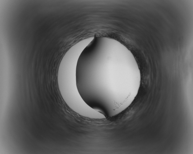 X0000086311010200704201958