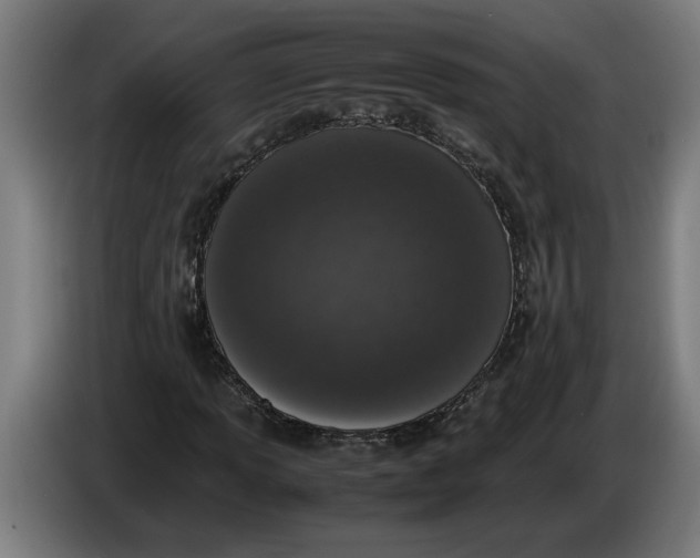 X0000086311013200704201958