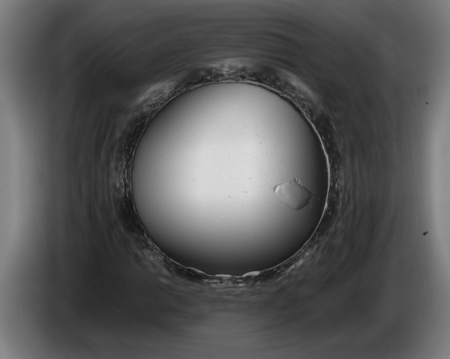 X0000086311014200704201958