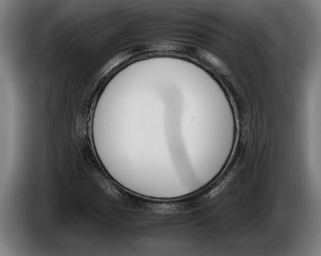 X0000086311017200704201958