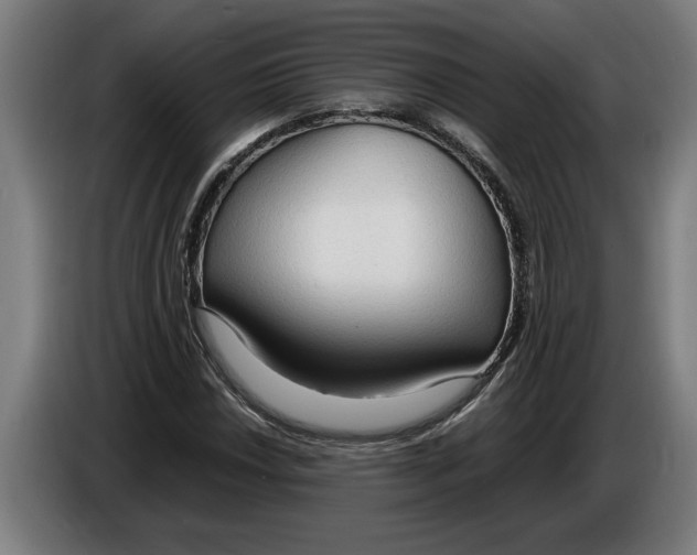X0000086311018200704201958