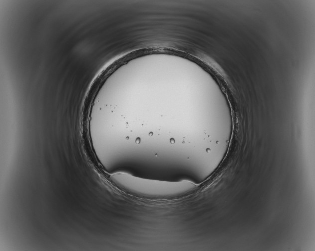 X0000086311020200704201958