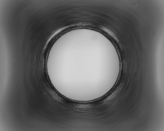 X0000086311021200704201958