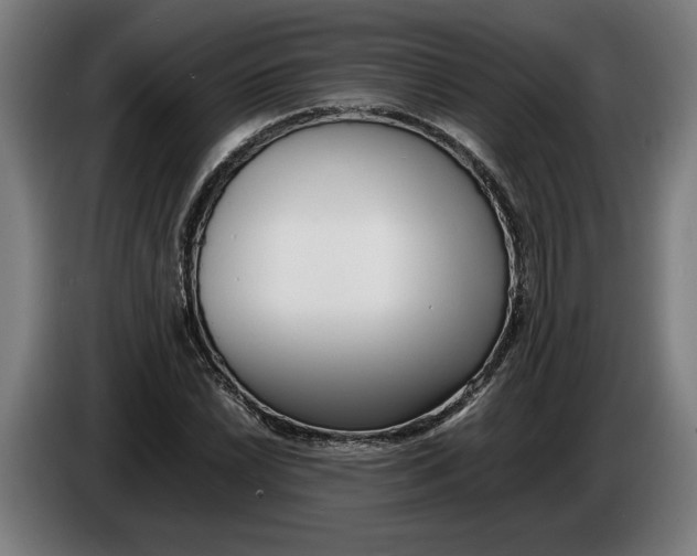 X0000086311022200704201958