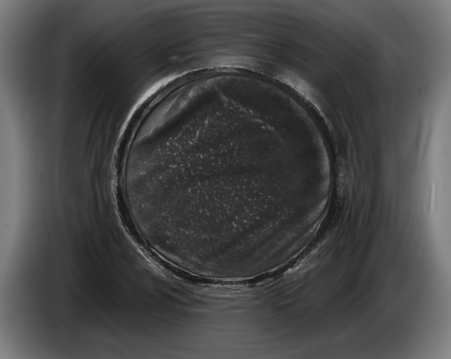 X0000086311024200704201958