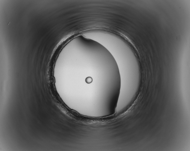 X0000086311026200704201958