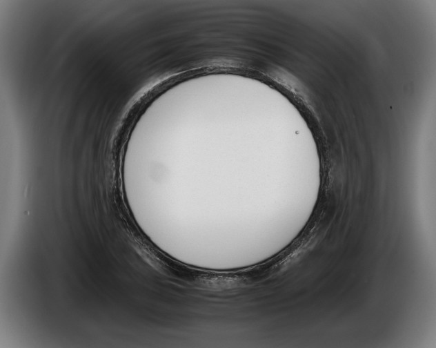X0000086311027200704201958