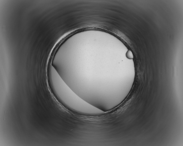 X0000086311028200704201958