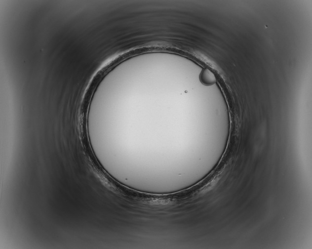 X0000086311029200704201958