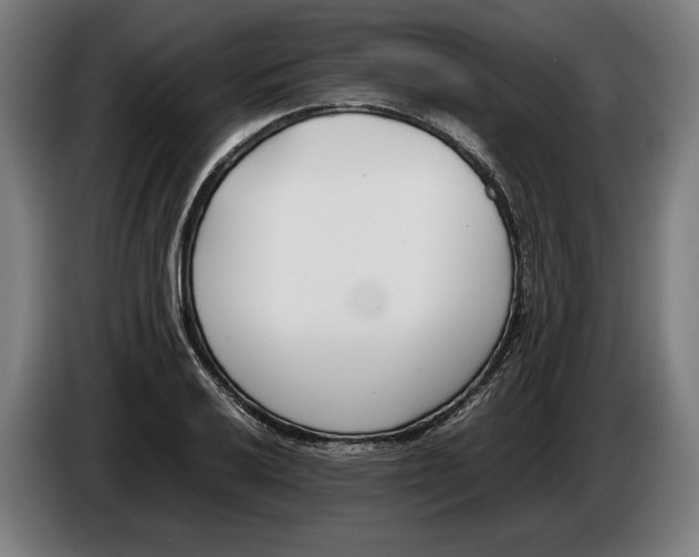 X0000086311032200704201958