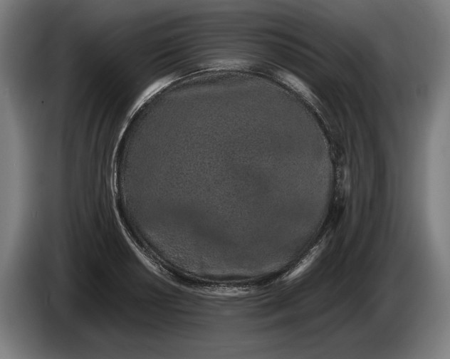 X0000086311034200704201958