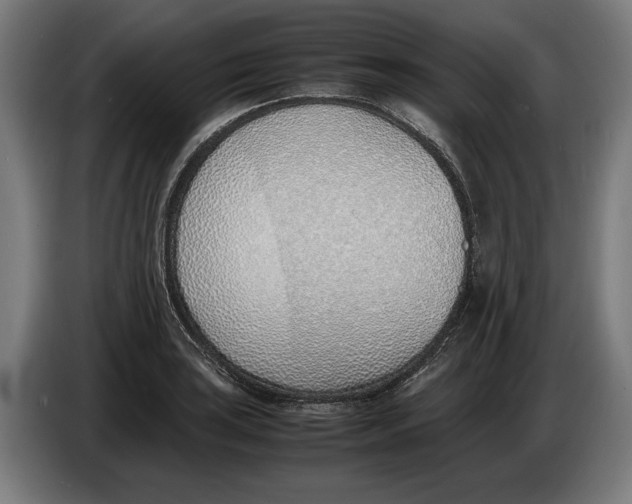X0000086311035200704201958