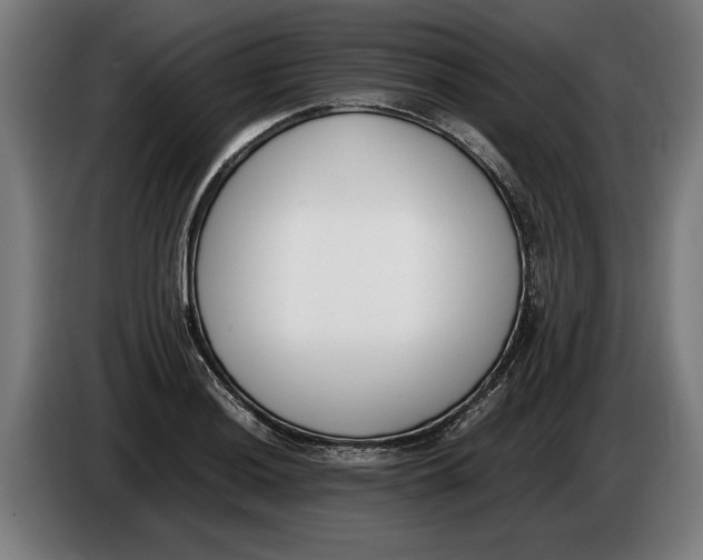X0000086311036200704201958