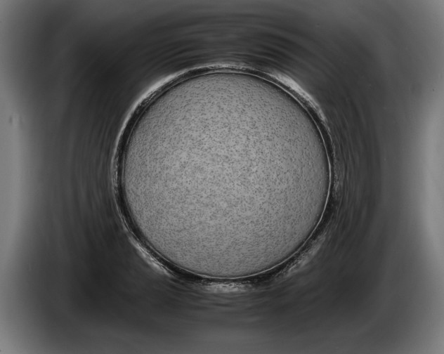 X0000086311037200704201958